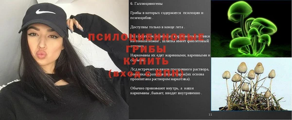 ALPHA-PVP Белокуриха