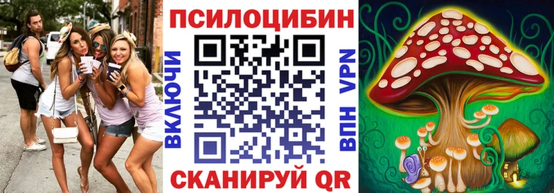 Галлюциногенные грибы MAGIC MUSHROOMS  что такое   Щигры 